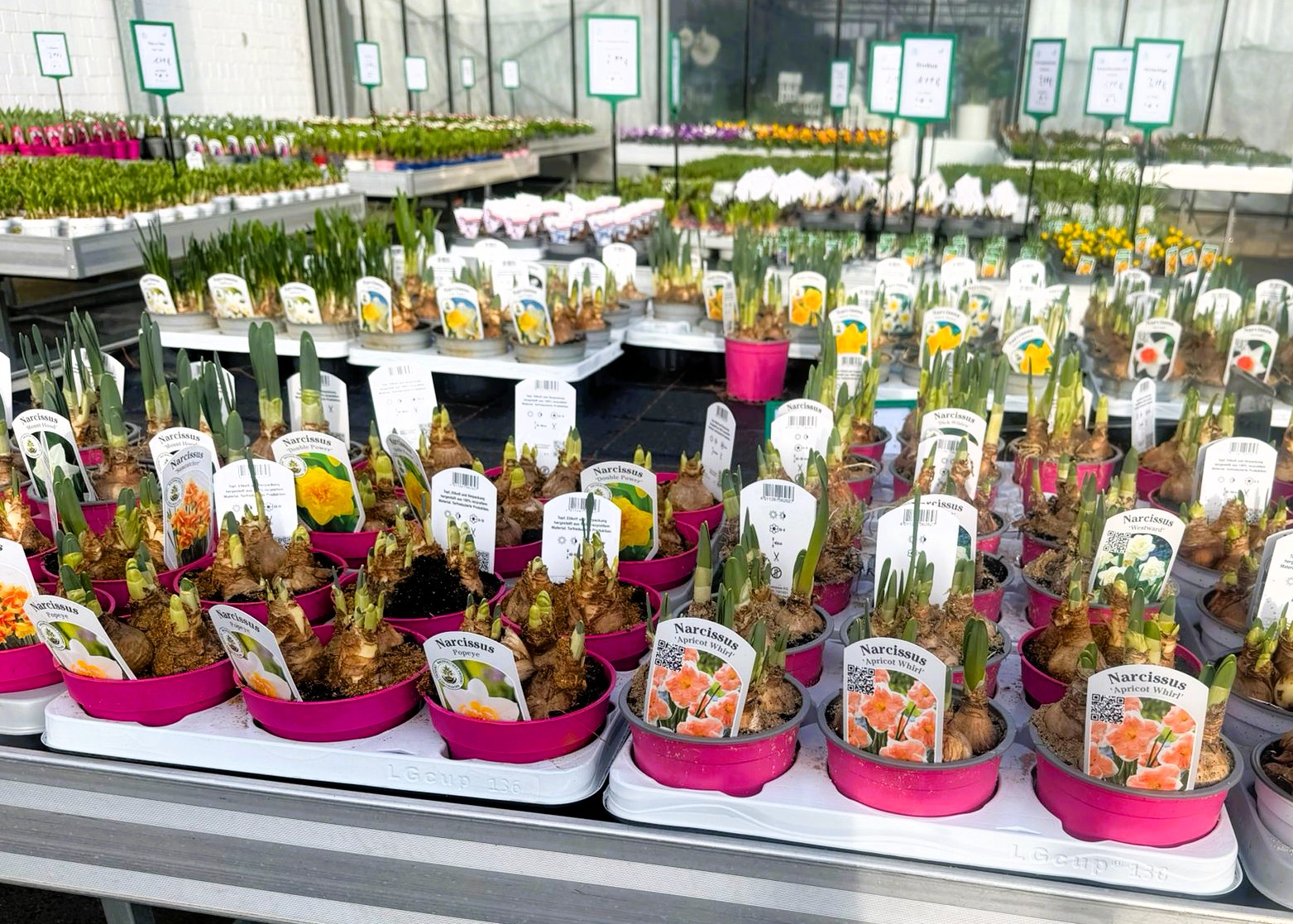 Monheimer Blumenmarkt